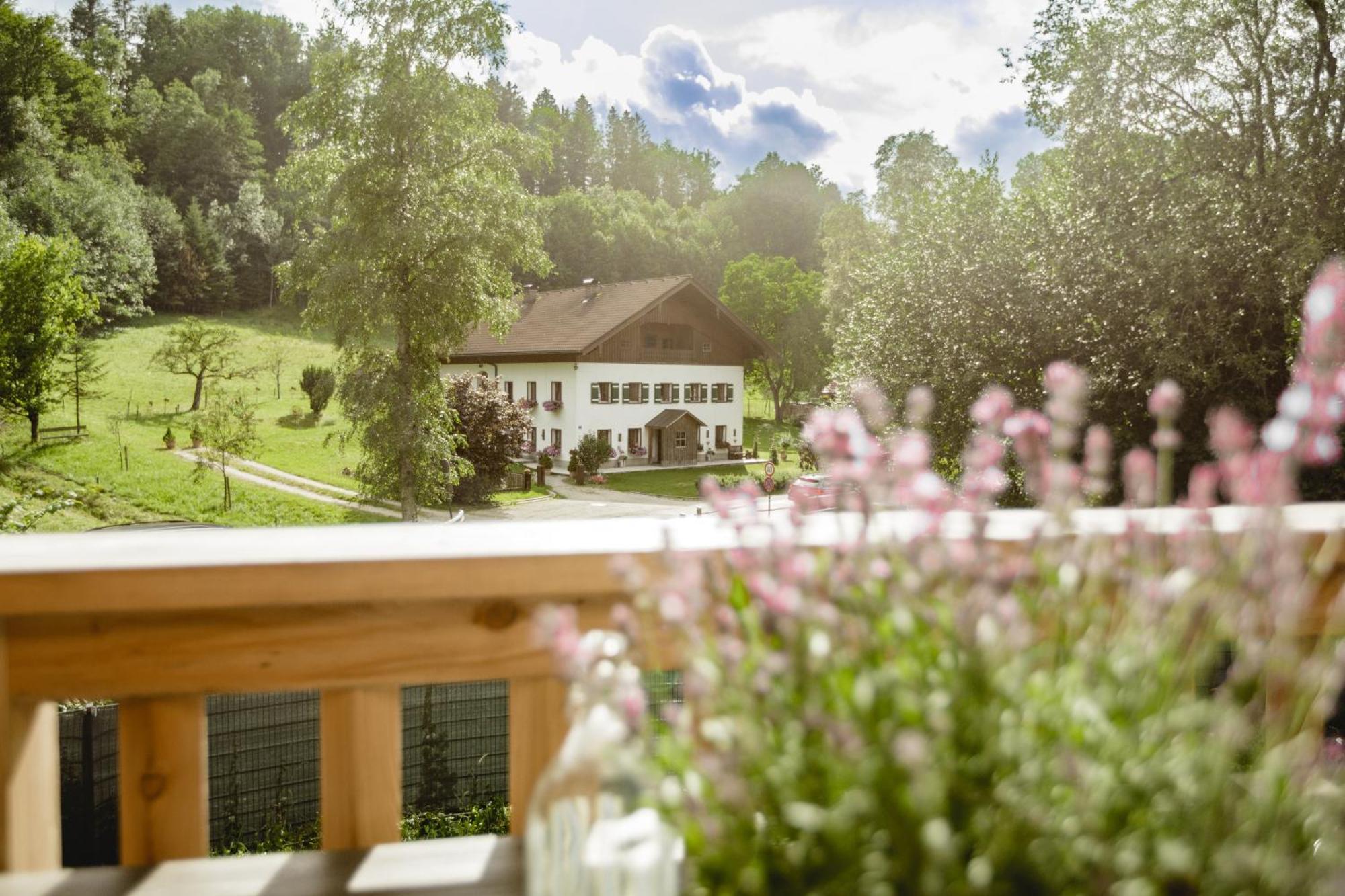 קופל Chalet 49 Nesselgraben - Ferienwohnungen Aus Holz מראה חיצוני תמונה